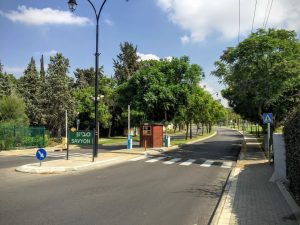 סביון