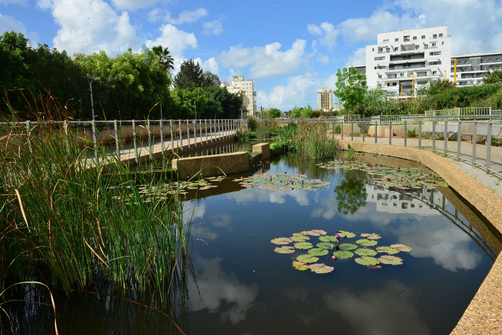 הבריכות הביולוגיות בגני תקווה