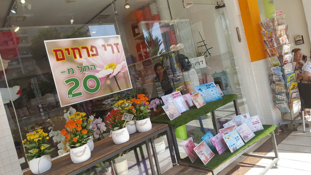 פרח לי