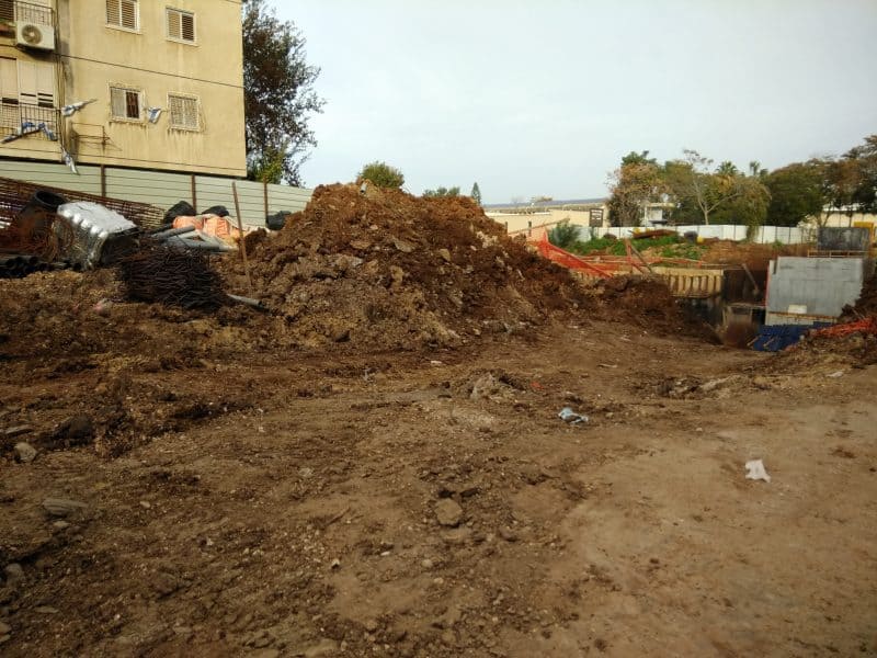 מתחם התמר מונוסון