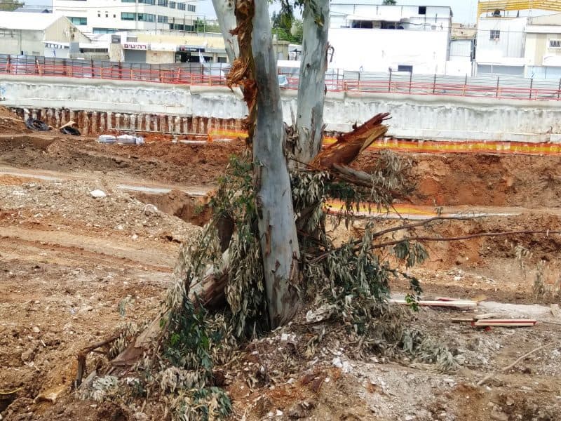 אלפי טונות של אדמה חסמו את נחל יהוד. צילום: אונו ניוז