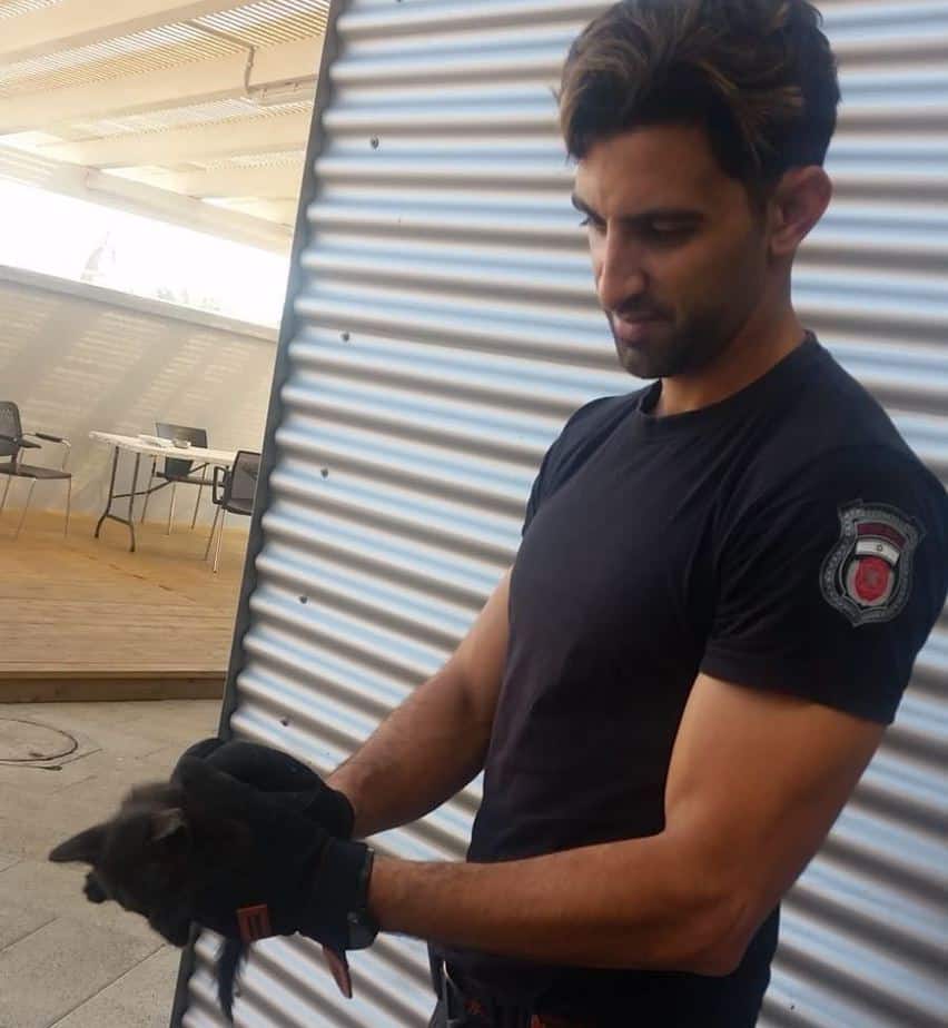 גור החתולים שנתקע בתוך הרכב