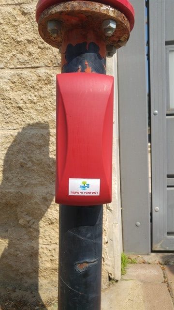 מי שקמה
