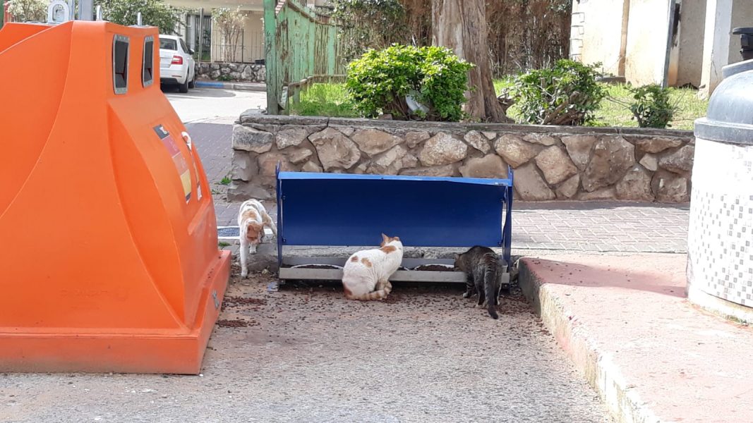 מתקני האכלה