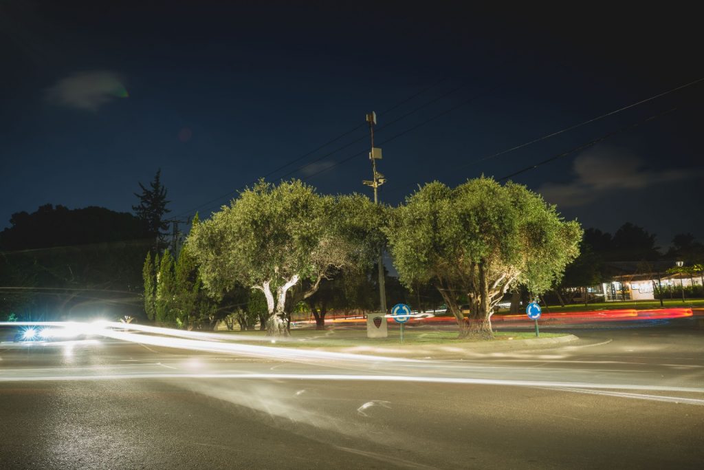 סביון בלילה