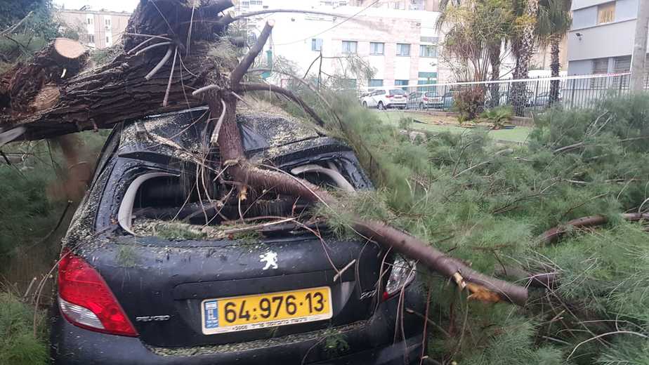 עץ שקרס על מכונית. צילום: איחוד והצלה אור יהודה