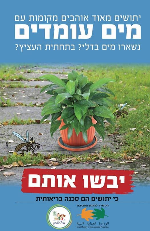 המלצות העירייה לתושבים