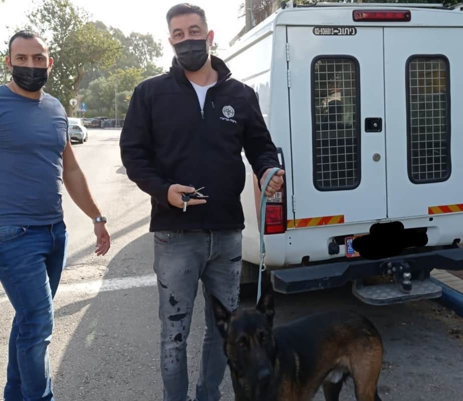 לכידת כלב מסוכן בגבעת שמואל (צילום דוברות עיריית גבעת שמואל)