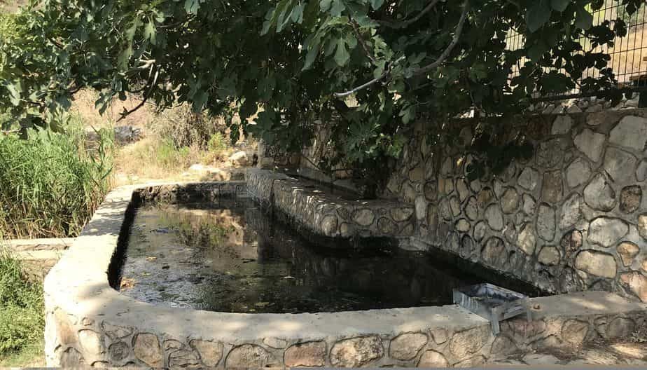 עין רועים (צילום כרמל עליאן)