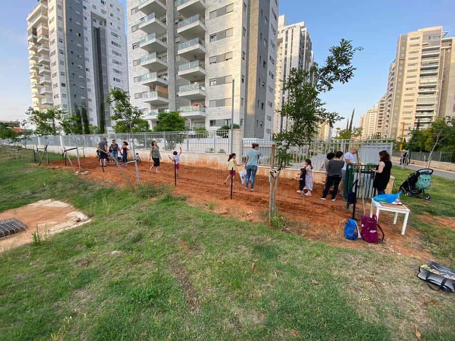 הגינה הקהילתית בגני תקווה. צילום: שמואל דניאל