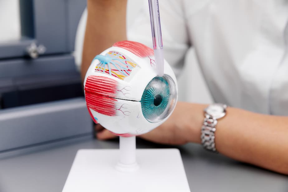 מגה לינקס freepikenlarged-anatomical-eye-model-laboratory-samplers