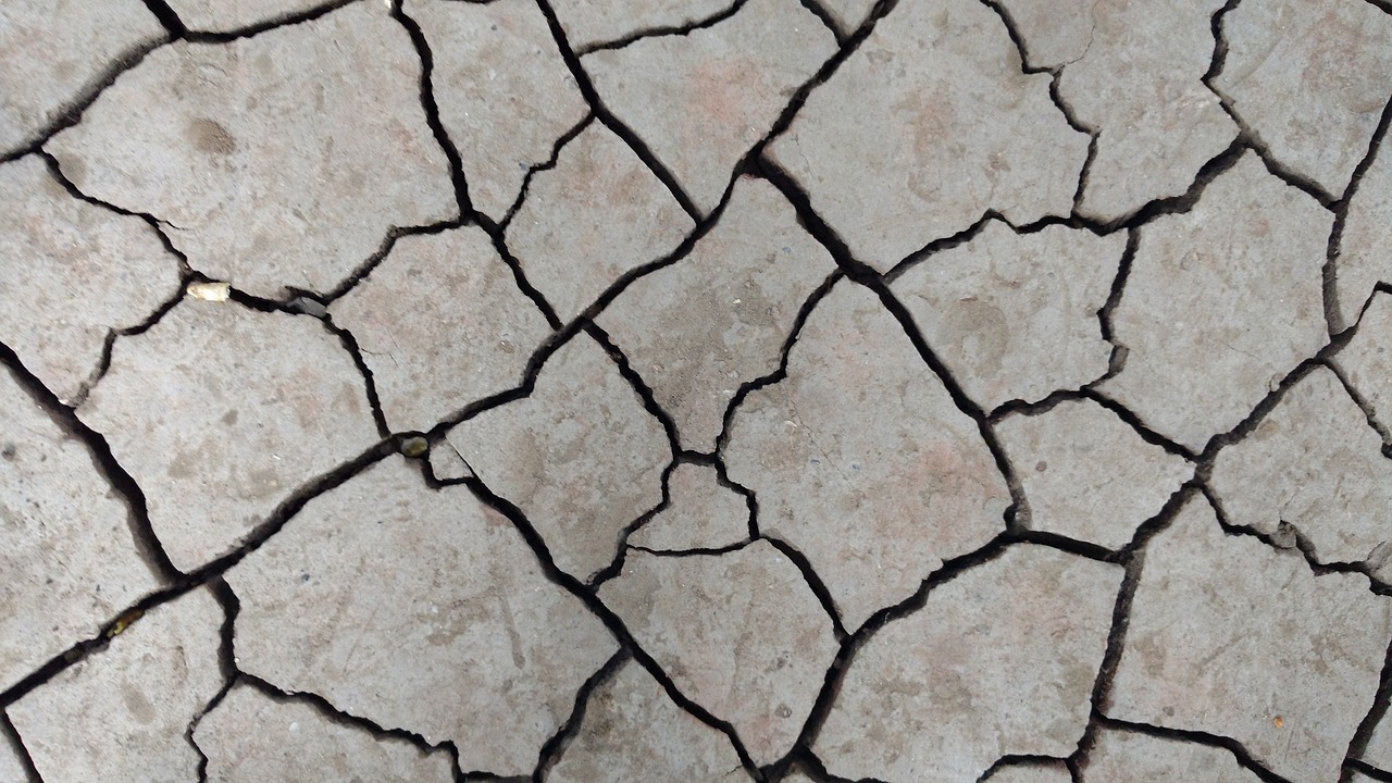 מגה לינקס: צילום freepikcracks-g0d4f8eb1d_1280