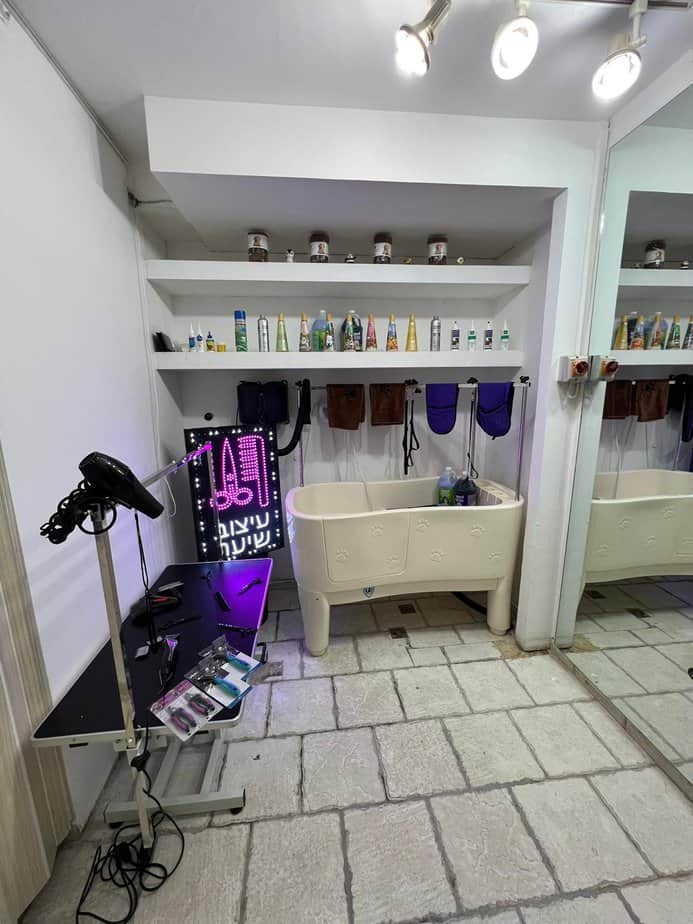 בשדות- חנות חיות מומלצת באור יהודה ומספרת כלבים.צילום: איתי בן משה
