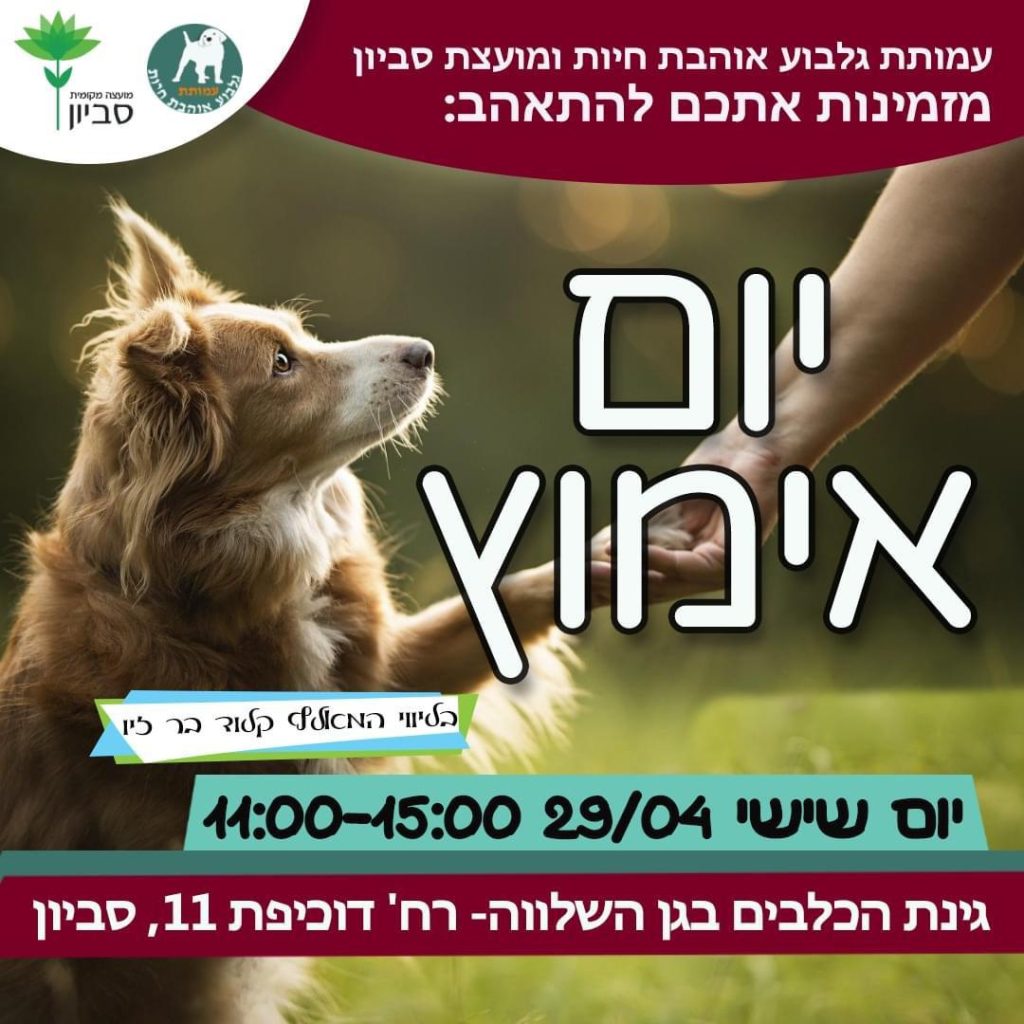יום אימוץ בסביון. צילום: עמותת גלבוע אוהבת חיות