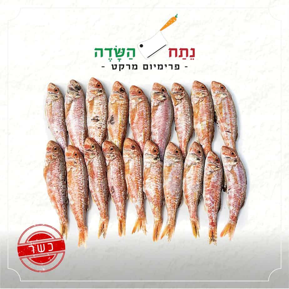 צילום באדיבות נתח השדה גבעת שמואל