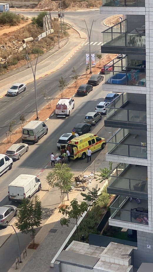 עקיצת דבורה. צילום באדיבות התושבים