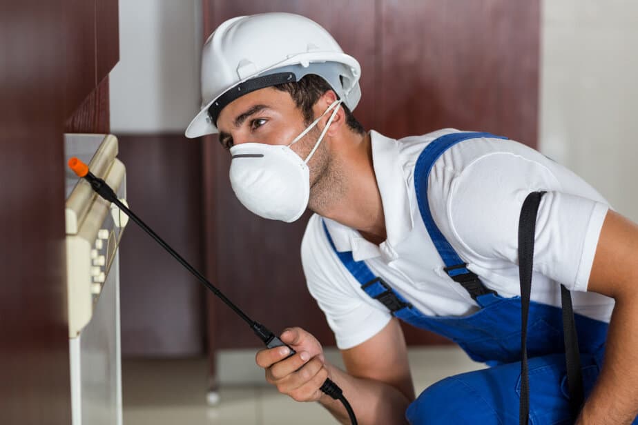 בסט לינקס קרדיט תמונה: freepikpest-worker-using-sprayer-cabinets-kitchen