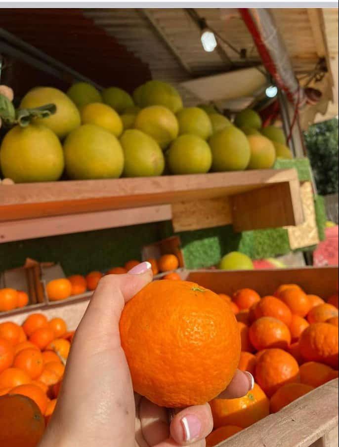 צילום: הכפריה גני תקווה