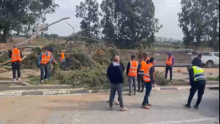עץ קרס ופגע ברכב נוסע בקריית אונו. צילום: תיעוד מבצעי דוברות מד"א