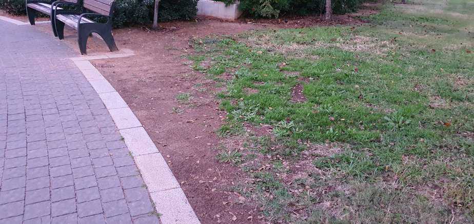 גינון גני תקווה. צילום באדיבות קבוצת איכות חיים בגני תקווה