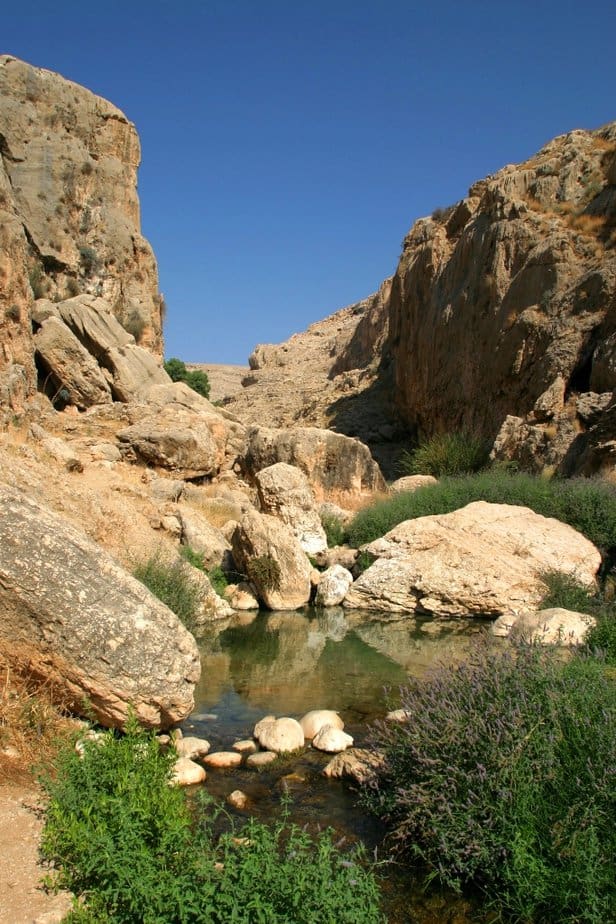 שמורת טבע נחל פרת, קרדיט צילום דורון ניסים