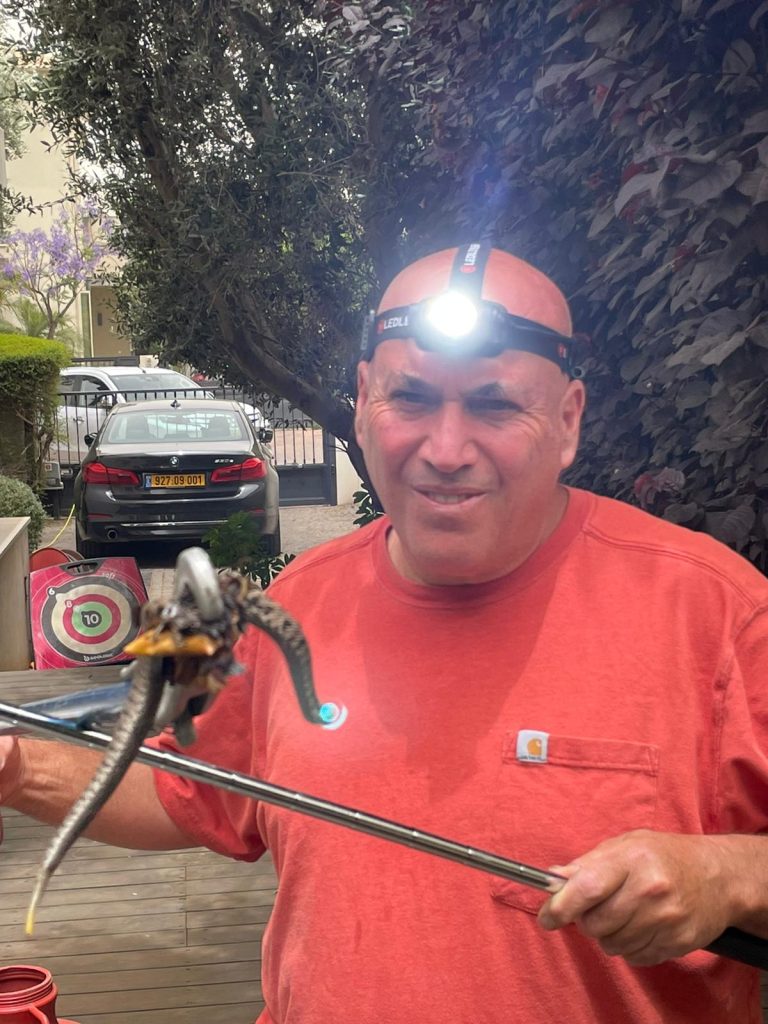 רן ארנון לוכד נחשים. צילום פרטי