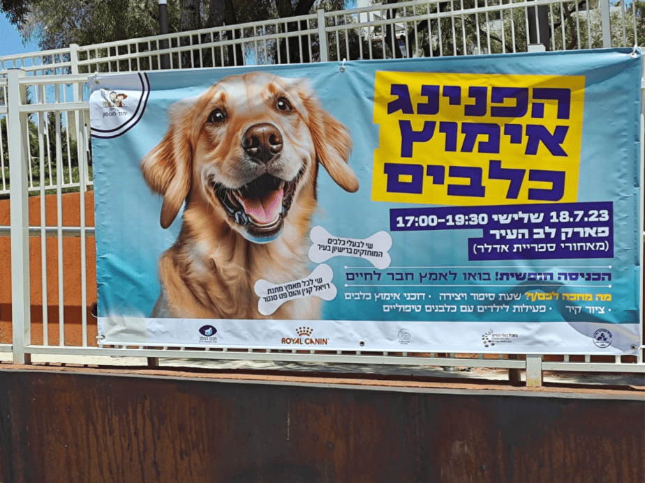 יום אימוץ כלבים ביהוד. צילום :זו ארץ זו יהוד
